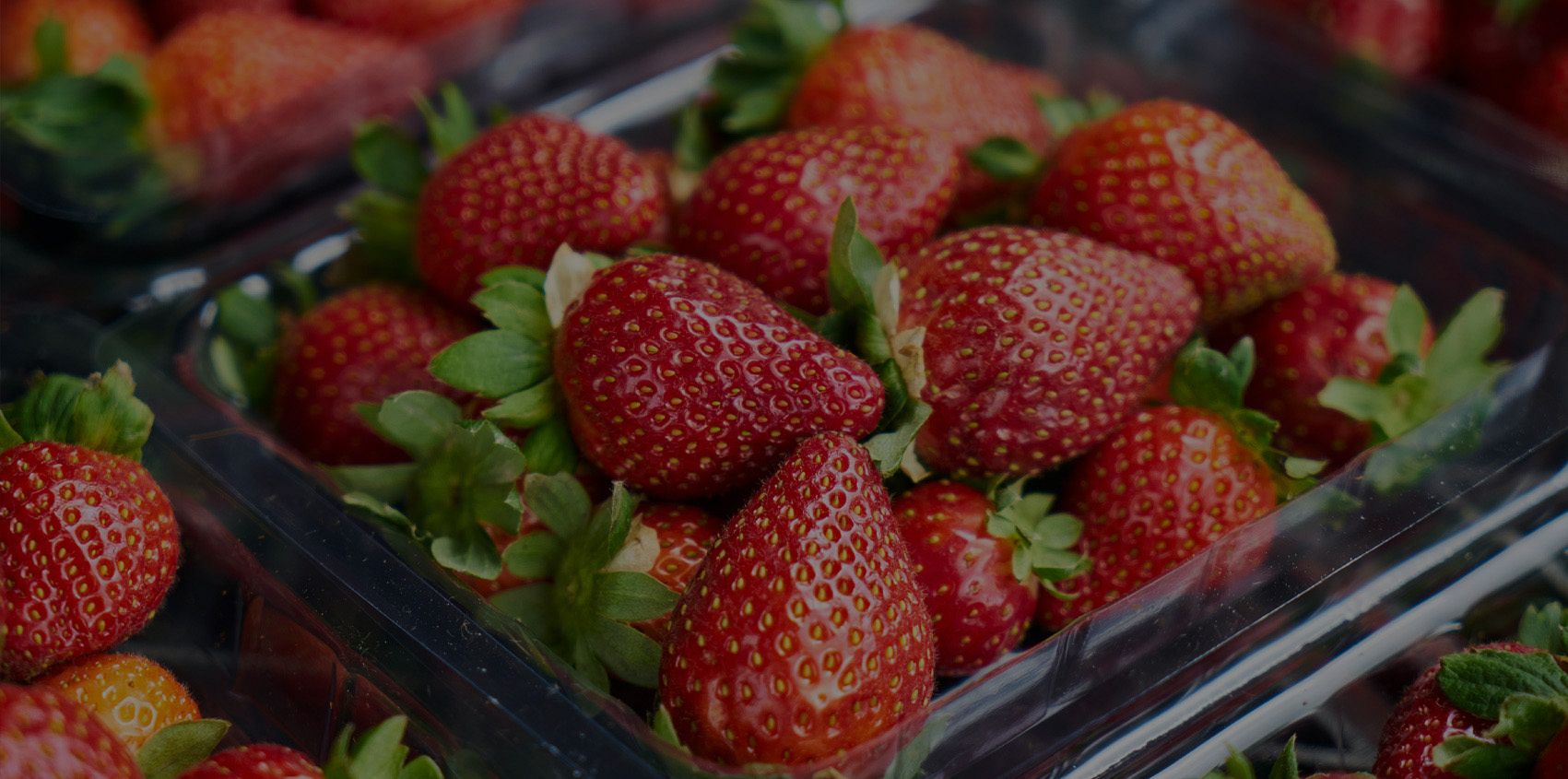 McCallums Farm Shop Finningley Doncaster